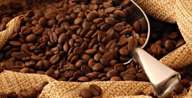 البكتيريا تطلب الكافيين أيضاً !