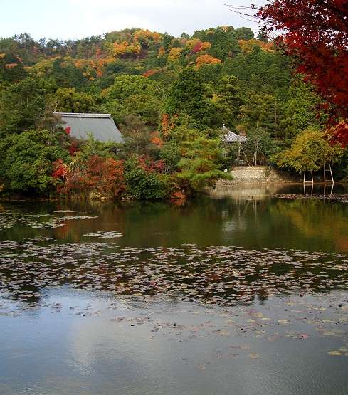 حديقة Ryōan-ji في اليابان