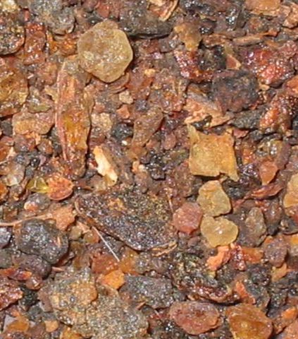 يقوي بصيلات الشعر