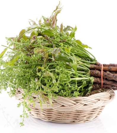 أوراق النيم...علاج فعال لمحاربة حساسية الجلد