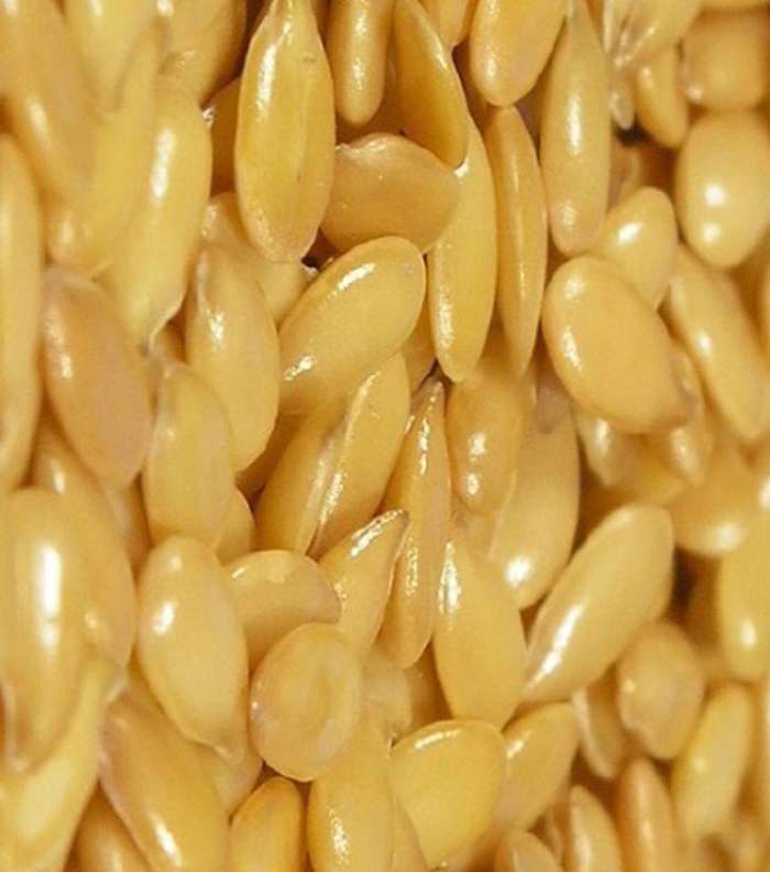 اطعمة من اجل علاج الامساك