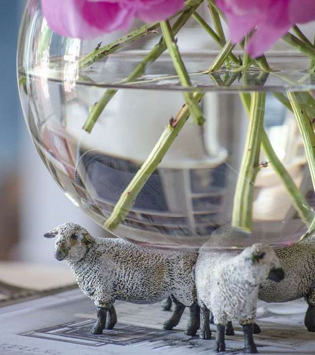 صور افكار للعيد
