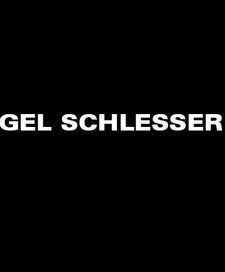 كل ما تريدين معرفته من اخبار ومعلومات وصور ووثائق عن Ángel Schlesser