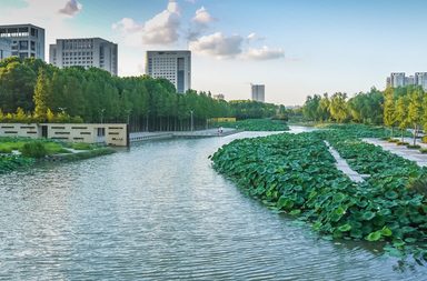 أفضل 5 مدن صديقة للبيئة في العالم.. تعرفي عليها!