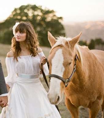 لقطة رومنسيّة مع الحصان