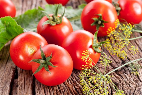 الطماطم المطهية لمكافة الأمراض