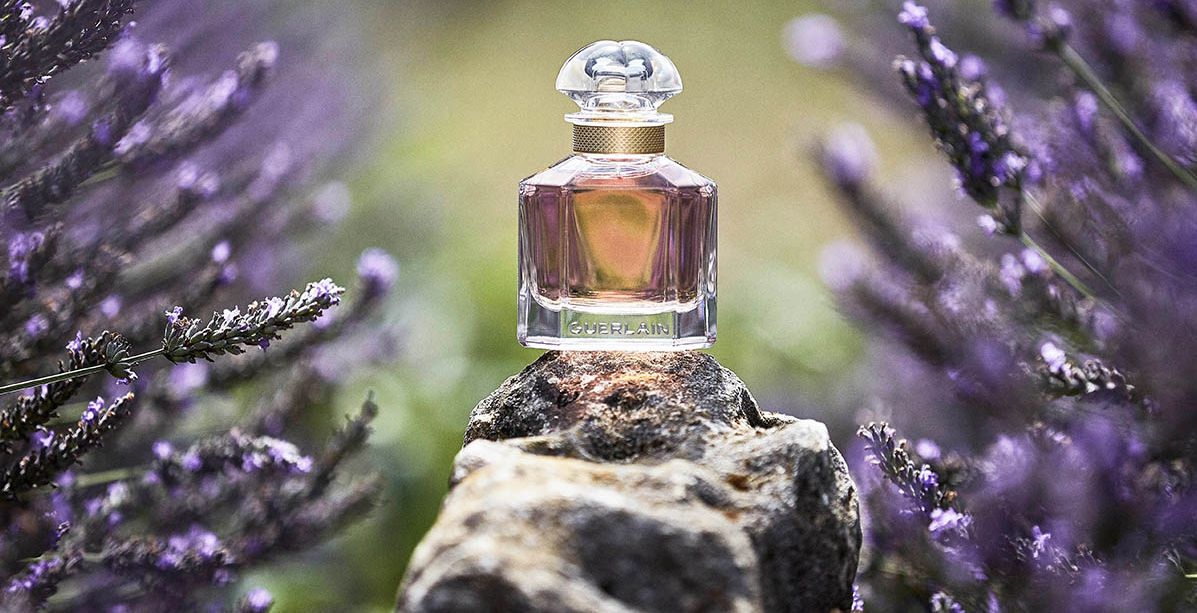 حكاية  Mon Guerlain ونبتة الخزامى