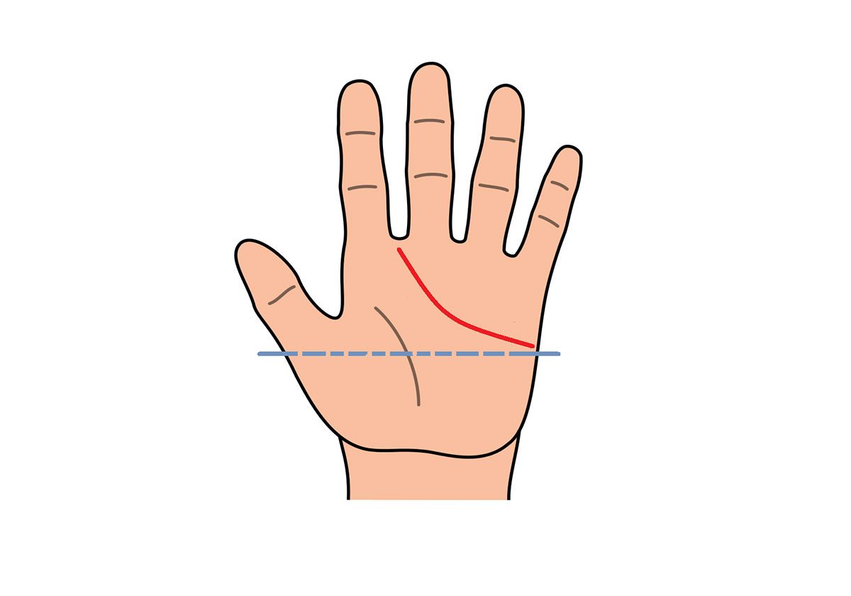 ما الذي يكشفه خط القلب في الكف عن علاقتك العاطفية؟
