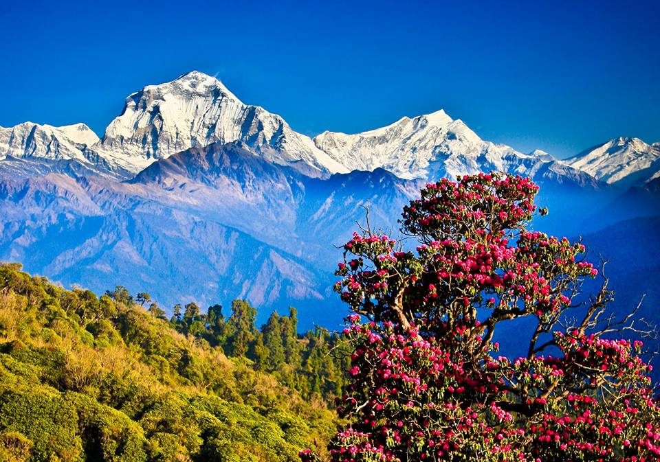 تفاصيل عن السياحة في نيبال