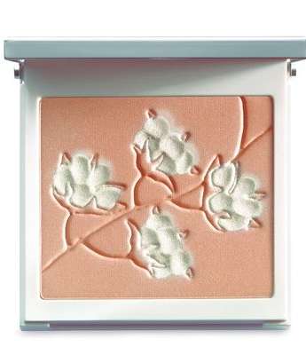 Clarins-cotton-flower-face-palette-29-3-2010