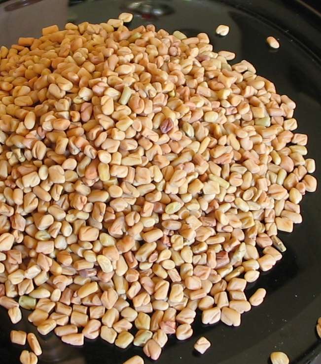 مغلي الحلبة