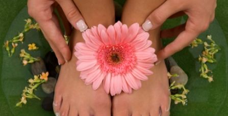 Person, Human, Dahlia