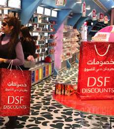  DSF 2013