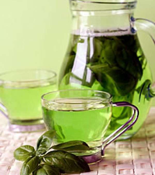 الشاي الأخضر