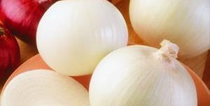 onion-white-4-1-2011