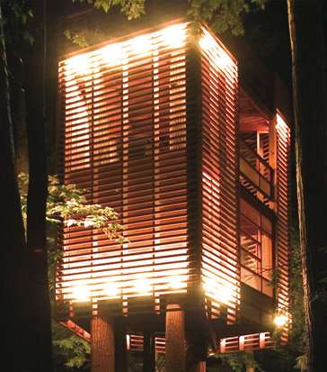 منزل شجرة على شكل قنديل يُضاء في اللّيل