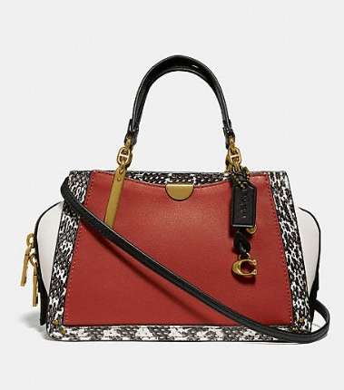 صور شنط coach