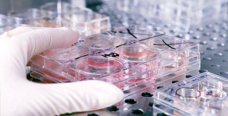 إبتكار جديد للعلاج السرطاني