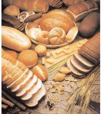 bread-whole-grain-25-10-2010