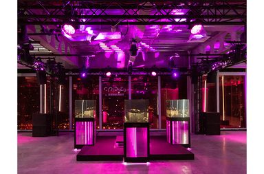 إليك كل ما عليك معرفته عن حفل إطلاق ساعة CODE 11.59 الجديدة من Audemars Piguet