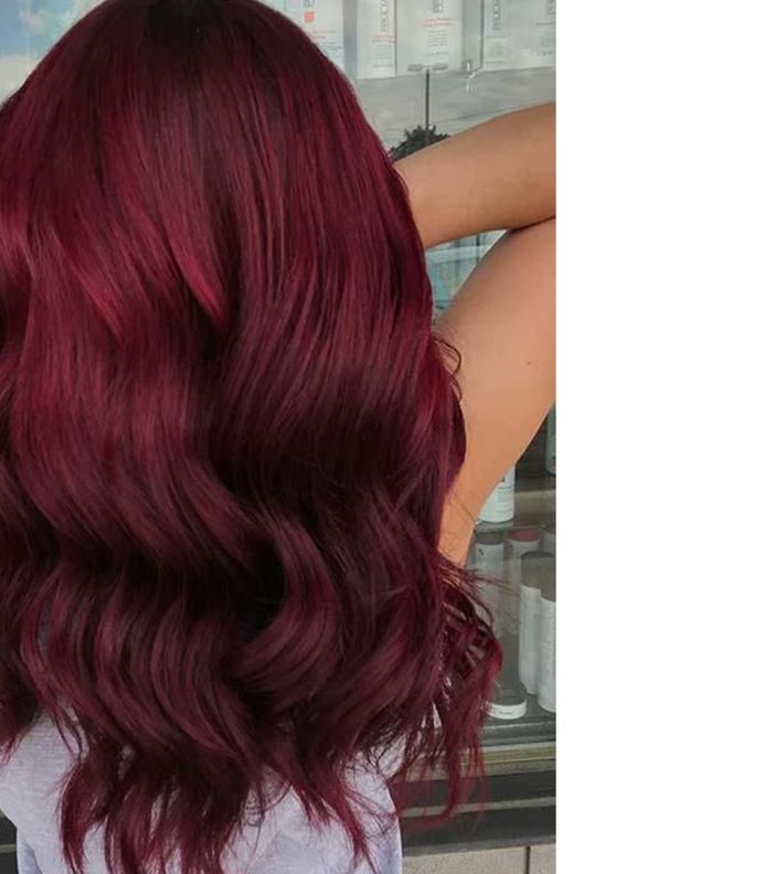 الوان الشعر الشتويه