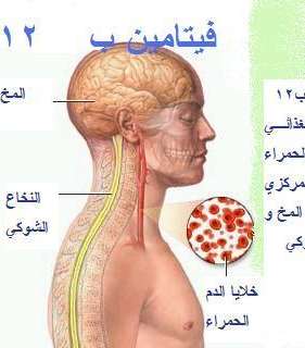 فيتامين ب12