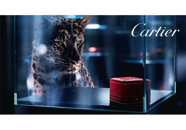 دار كارتير Cartier