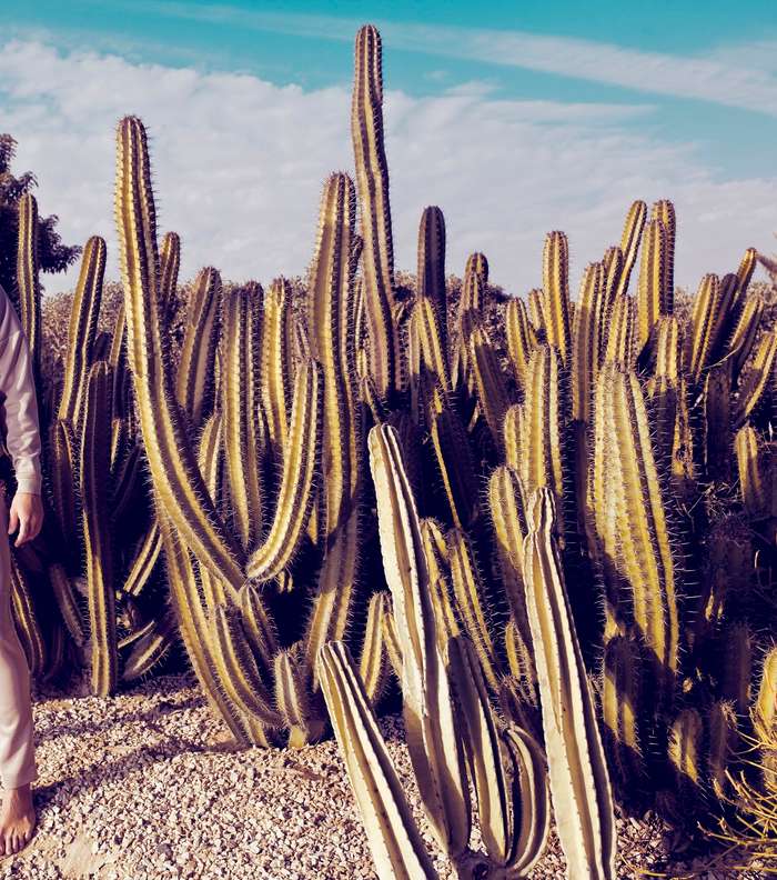 House of Nomad تصمم الملابس الرجالية