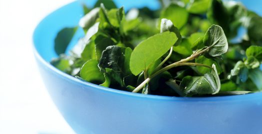 خلطة الجرجير لتطويل الشعر