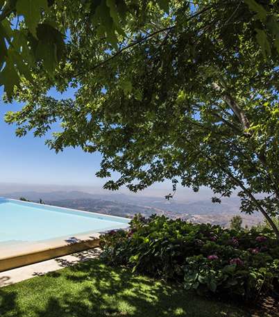 بركة السباحة الكبيرة التي تزين منزل ايلي صعب في فقرا