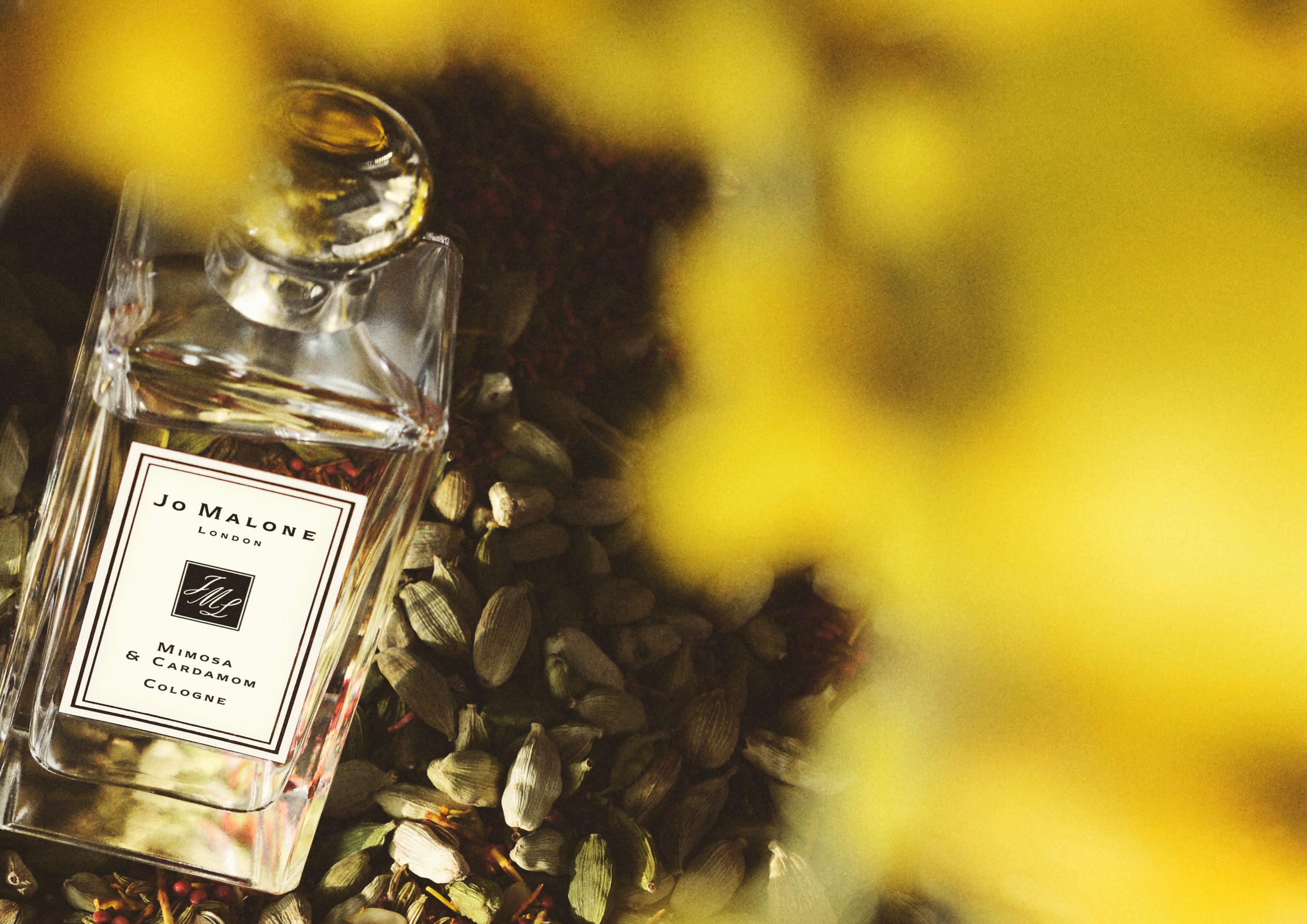 عطر Mimosa and Cardamom الجديد من Jo Malone