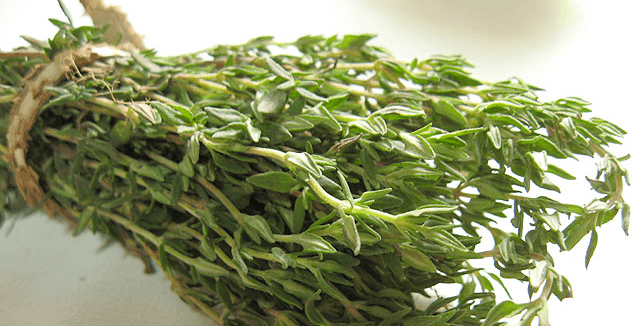 فوائد الزعتر للشعر | خلطات مغذية للشعر من الزعتر