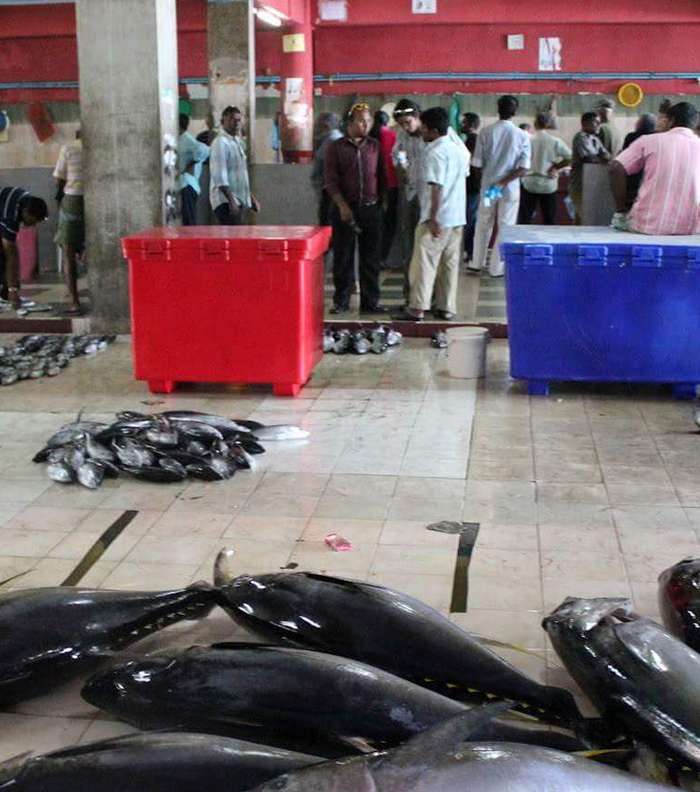 مميزات شهر العسل في المالديف