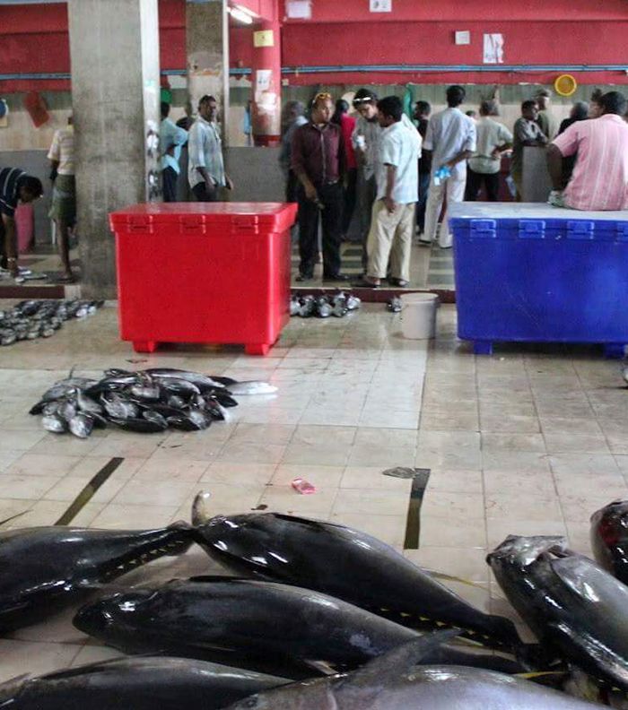 مميزات شهر العسل في المالديف