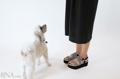  أحذية ربيع وصيف 2016 بالفيديو