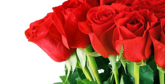 دلالات عدد الورود