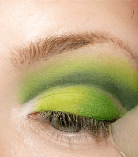 الخطوة الخامسة