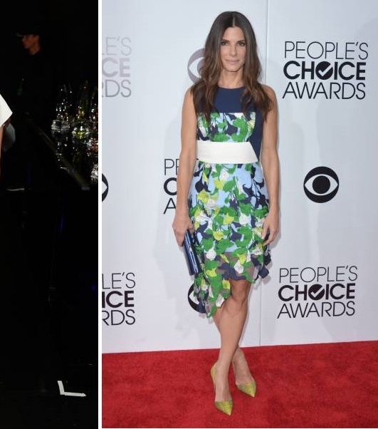 من حفل People's Choice Awards 2014، إليك ساندرا بولوك بفستان من بيتر بيلوتو ودرو باريمور بفستان من Vionnet