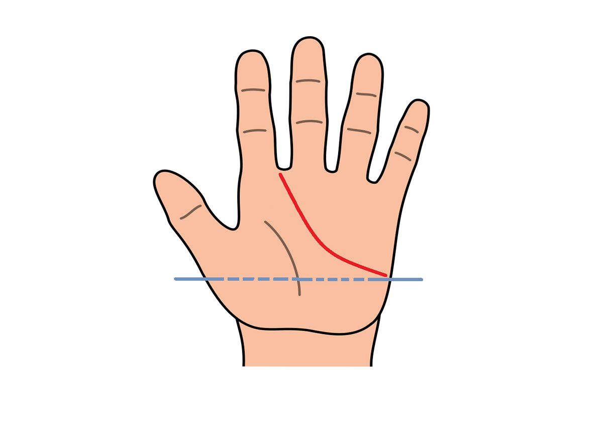 ما الذي يكشفه خط القلب في الكف عن علاقتك العاطفية؟