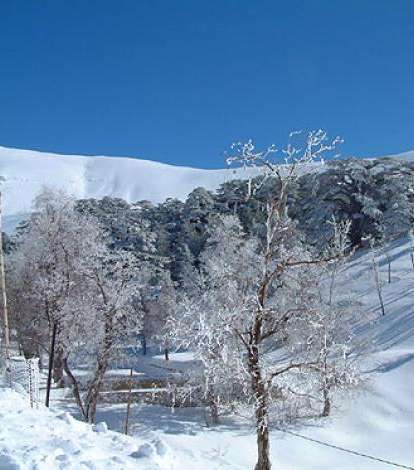 لبنان: