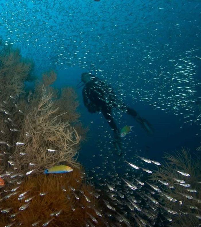 مميزات شهر العسل في المالديف