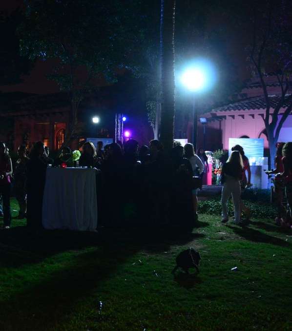 الحضور النسائي يتمتعون بالعرض الناري المذهل