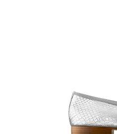 حذاء الباليرينا الكلاسيكي من CHANEL لامراة الاسد