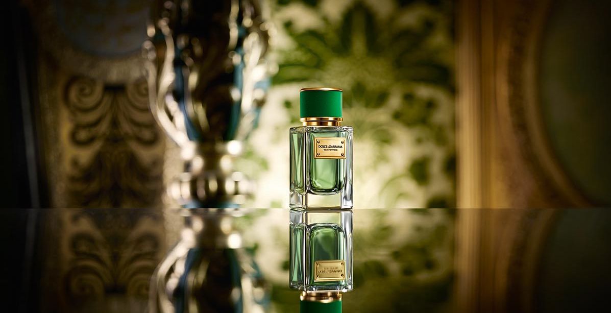 الأناقة تحاكي الانتعاش في عطر  Velvet Cypress من Dolce&Gabbana