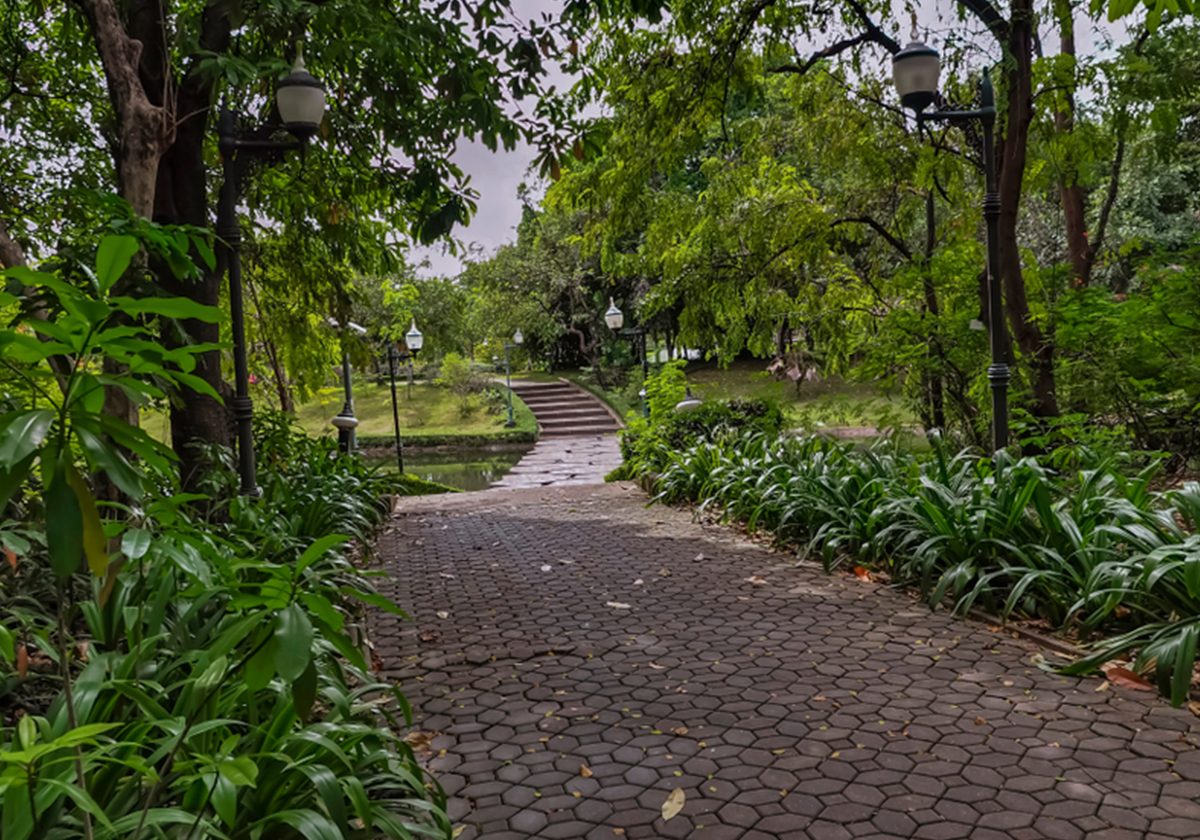 الاسترخاء في حدائق بانكوك