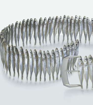 fashion-food-21-7-2010-7