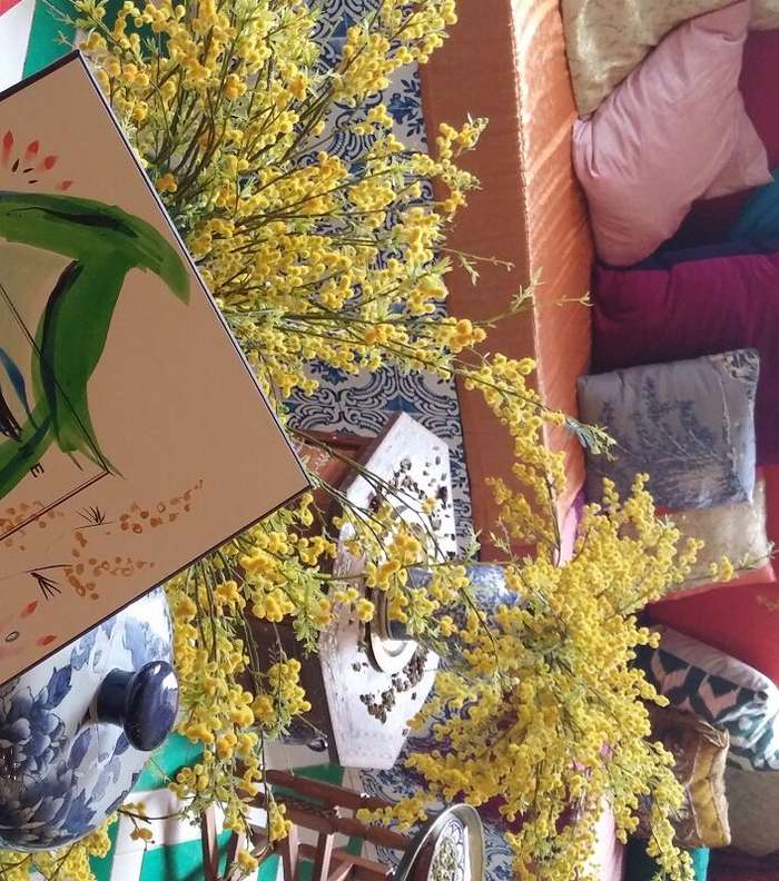 علبة عطر Mimosa and Cardamom مع رسم تصويري لوجه رئيسة تحرير موقع ياسمينة