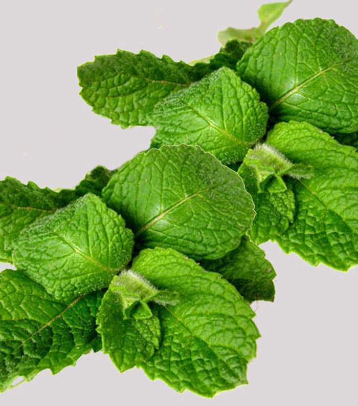 فوائد الزنجبيل للجسم واضطراب المعدة