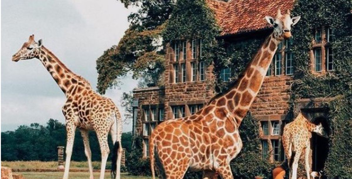 صور أغرب 5 فنادق حول العالم منها في أنابيب الصرف الصحي