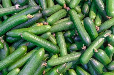 فوائد الخيار قبل النوم 